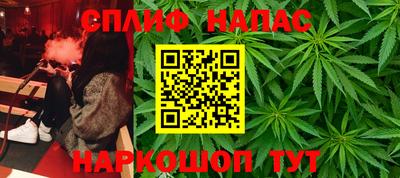 сатива Моздок